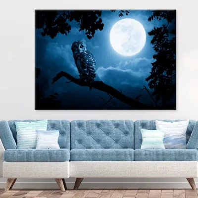 Bright Moon & Barred Owl on Tree Photograph Print 100% Australian Made