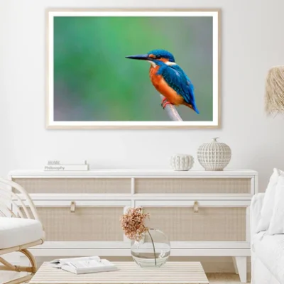 Beautiful Bird in Nature Common Kingfisher Home Decor Premium Quality Poster Print Choose Your Sizes