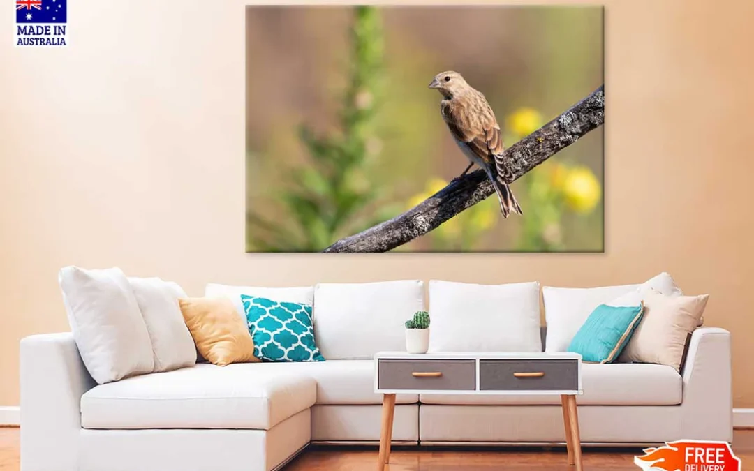 Young Bird on Branch Closeup View Photograph Print 100% Australian Made