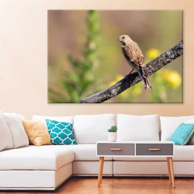Young Bird on Branch Closeup View Photograph Print 100% Australian Made
