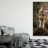 Wolf Closeup Photograph Print 100% Australian Made