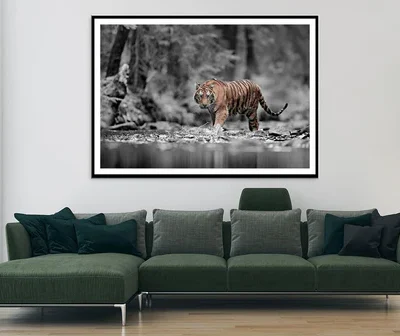 Blue Eye Tiger Decor Premium Quality Poster Print Choose Your Sizes