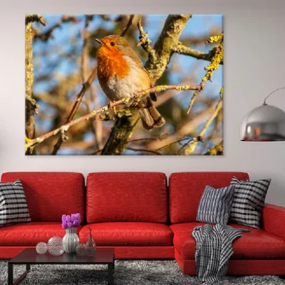 European Robin Bird on Tree View Photograph Print 100% Australian Made