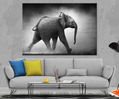 Baby Elephant B&W View Photograph Print 100% Australian Made