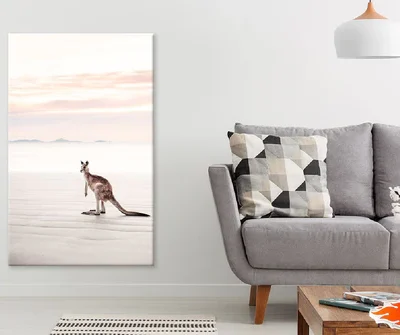 Lone Kangaroo on Queensland Beach Photograph Print 100% Australian Made