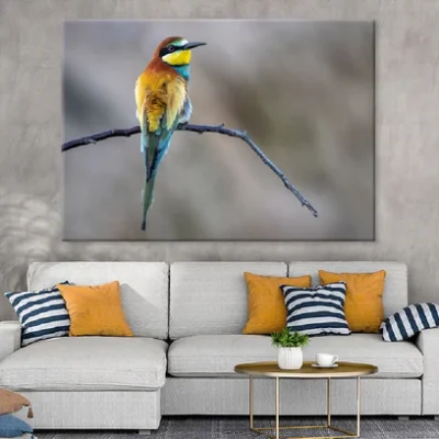 Bee Eater Bird on Branch View Photograph Print 100% Australian Made
