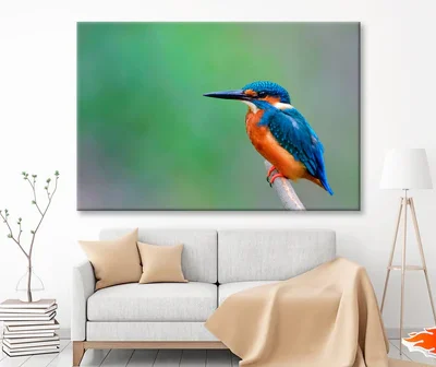 Beautiful Bird in Nature Common Kingfisher Wall Art Decor 100% Australian Made