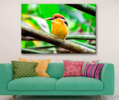 Bella Home Kingfisher on Tree Branch Closeup Print Canvas Ready to hang