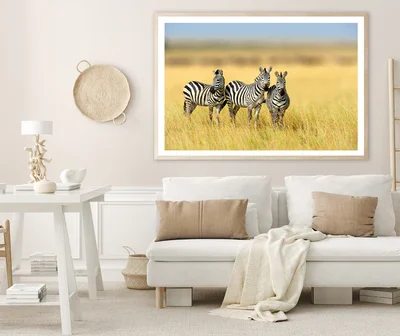 Herd of Zebras on Long Grass Land Home Decor Premium Quality Poster Print Choose Your Sizes