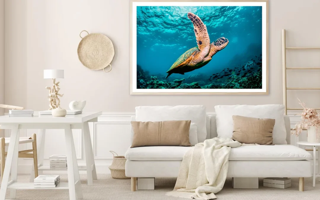 Graceful Swimming Sea Turtle Home Decor Premium Quality Poster Print Choose Your Sizes