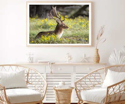 Deer & Yellow Flower Plant View Photograph Home Decor Premium Quality Poster Print Choose Your Sizes
