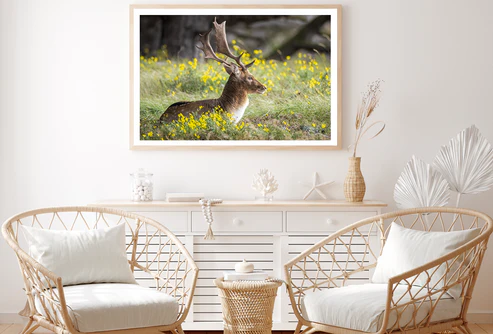 Deer & Yellow Flower Plant View Photograph Home Decor Premium Quality Poster Print Choose Your Sizes