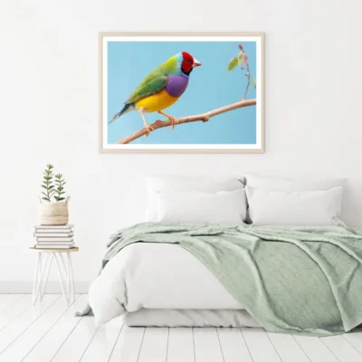 Colorful Bird Closeup Photograph Home Decor Premium Quality Poster Print Choose Your Sizes