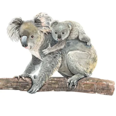 Koala Bear Watercolor Painting Home Decor Premium Quality Poster Print Choose Your Sizes