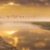 Birds Flying Over River Sunset Home Decor Premium Quality Poster Print Choose Your Sizes - Image 2