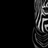 Half Face of Zebra with Black Print 100% Australian Made - Image 4