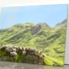 Flock Of Sheep Standing on Knoll With New Zealand Acrylic Glass Print Tempered Glass Wall Art 100% Made in Australia Ready to Hang