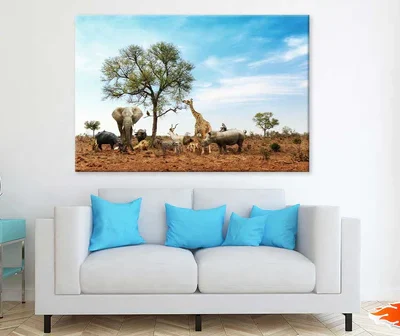 Animals in Kruger National Park Photograph Print 100% Australian Made