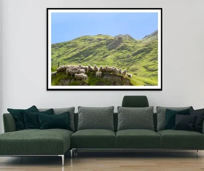 Flock Of Sheep Standing on Knoll With New Zealand Home Decor Premium Quality Poster Print Choose Your Sizes