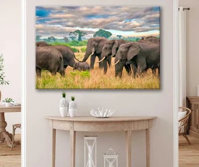 Bella Home Group of Elephants on Grass Field Print Canvas Ready to hang