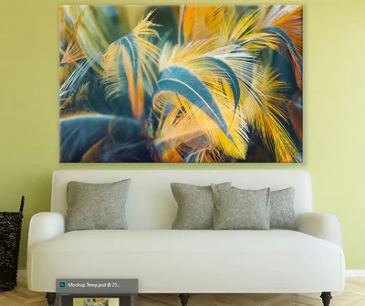 Colourful Feathers Photograph Print 100% Australian Made