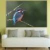 Kingfisher on a Tree Branch Print 100% Australian Made