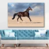 Bella Home Horse Running With Cloud Sky Print Canvas Ready to hang