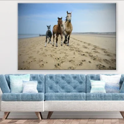Horses in Beach Closeup Photograph Print 100% Australian Made