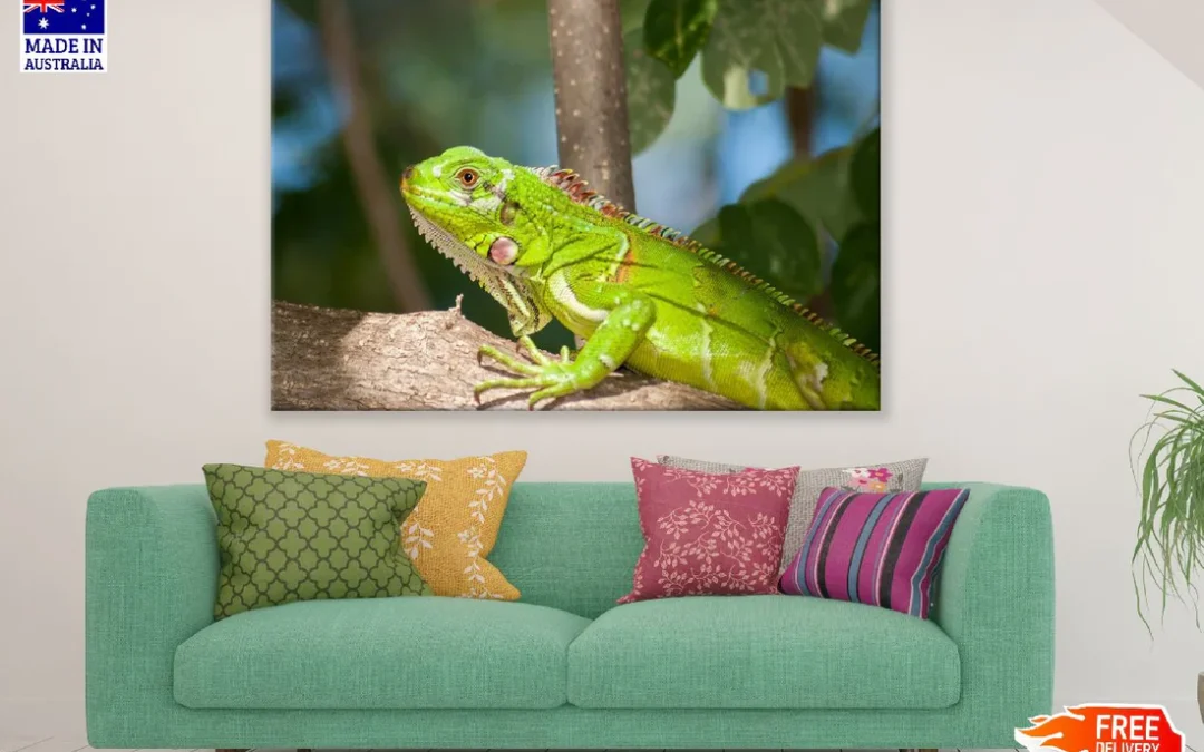 Green Iguana on Tree Branch Photograph Print 100% Australian Made