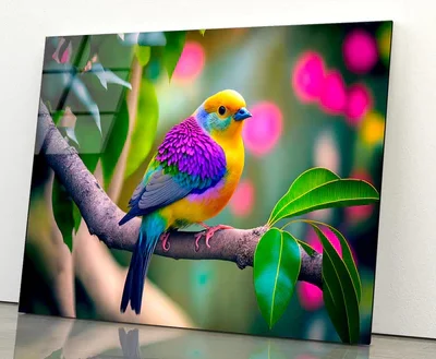 Colorful Bird on Branch Acrylic Glass Print Tempered Glass Wall Art 100% Made in Australia Ready to Hang