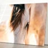 Close Up of a Horse's Head with A Sky Background Acrylic Glass Print Tempered Glass Wall Art 100% Made in Australia Ready to Hang