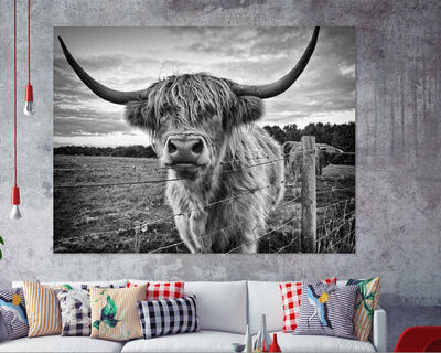 Highland Cow Popular Print 100% Australian Made