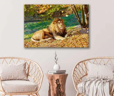 Bella Home Lion Near Forest Tree View Print Canvas Ready to hang