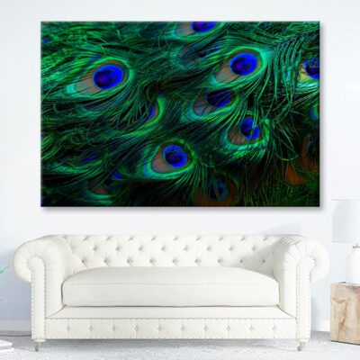 Beautiful Peacock's Feathers Closeup Wall Art Decor 100% Australian Made