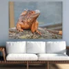 Iguana Reptiles Closeup Photograph Print 100% Australian Made - Image 2