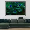 Close Up of a Peacock's Feathers with Blue Eyes Home Decor Premium Quality Poster Print Choose Your Sizes