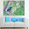Kingfisher Bird on Tree Branch Photograph Print 100% Australian Made
