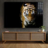 Tiger on Dark View Print Tempered Glass Wall Art 100% Made in Australia Ready to Hang - Image 2