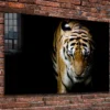 Tiger on Dark View Print Tempered Glass Wall Art 100% Made in Australia Ready to Hang