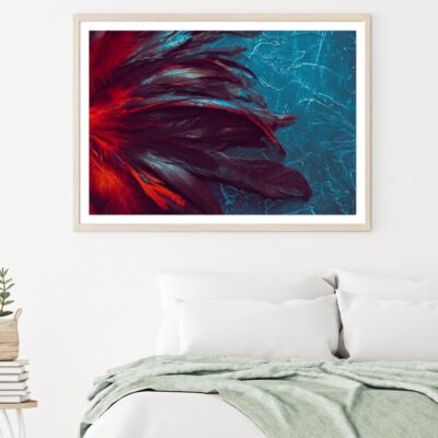 Colorful Feathers Photograph Home Decor Premium Quality Poster Print Choose Your Sizes