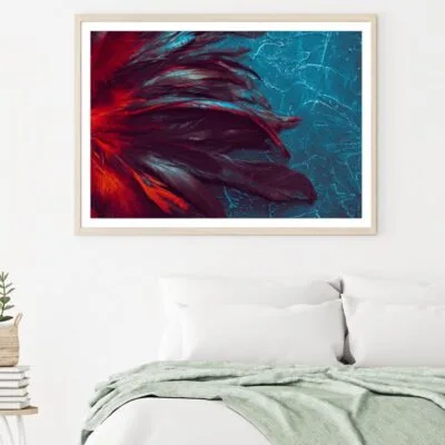 Colorful Feathers Photograph Home Decor Premium Quality Poster Print Choose Your Sizes