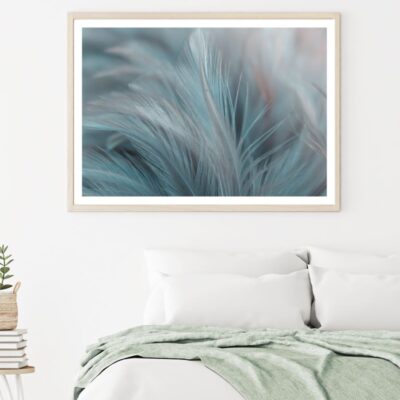 Feathers Closeup Photograph Home Decor Premium Quality Poster Print Choose Your Sizes
