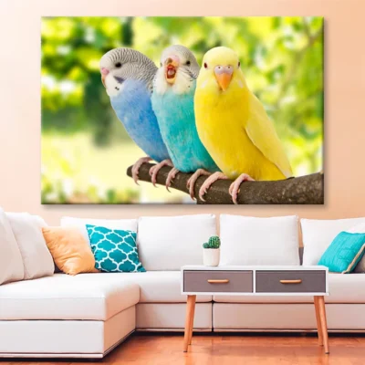 Budgies Are in The Roost on The Green Background Wall Art Decor 100% Australian Made