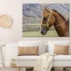 Horse Face & Mountain View Photograph Print 100% Australian Made