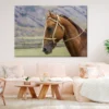 Horse Face & Mountain View Photograph Print 100% Australian Made - Image 2