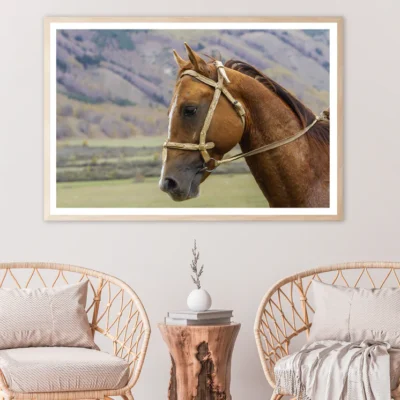 Horse Face & Mountain View Photograph Home Decor Premium Quality Poster Print Choose Your Sizes