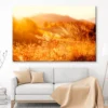 Field In the Sunlight Wall Art Decor 100% Australian Made