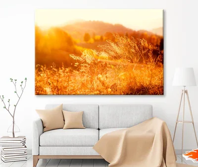 Field In the Sunlight Wall Art Decor 100% Australian Made