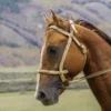 Horse Face & Mountain View Photograph Print 100% Australian Made - Image 3