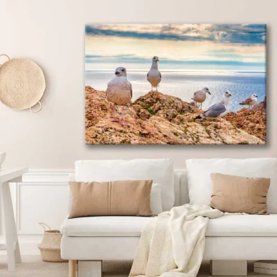 Bella Home Seagulls Sitting on Mountain Cliff Print Canvas Ready to hang